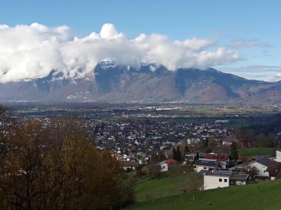 Wohnung Rheintal Im Alpenvorland Batschuns Bagian luar foto