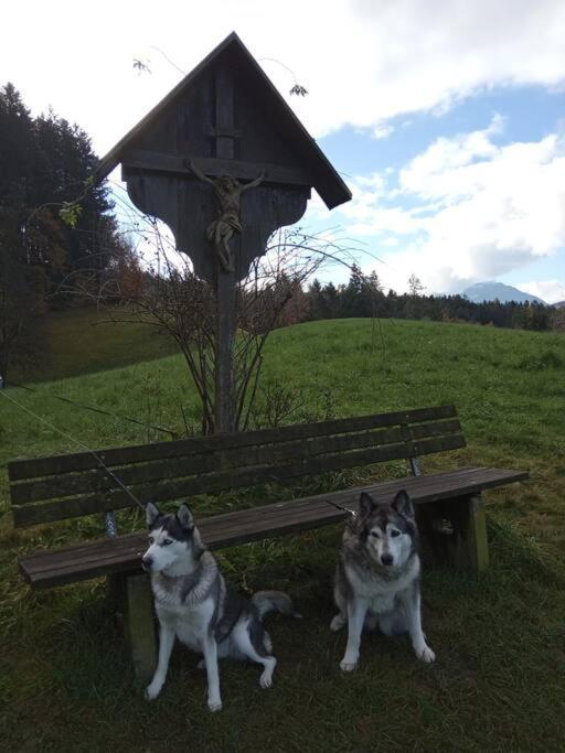 Wohnung Rheintal Im Alpenvorland Batschuns Bagian luar foto