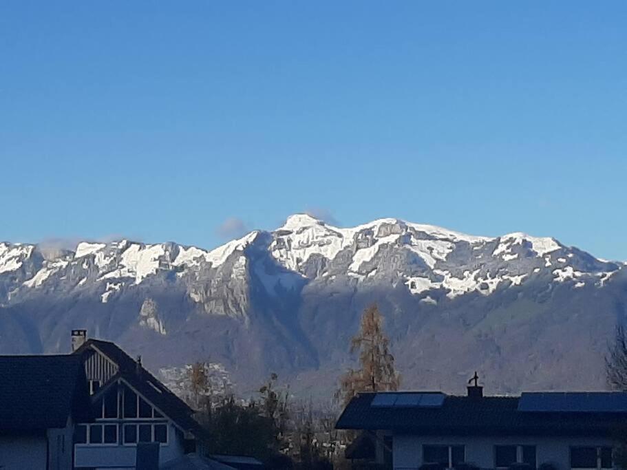 Wohnung Rheintal Im Alpenvorland Batschuns Bagian luar foto