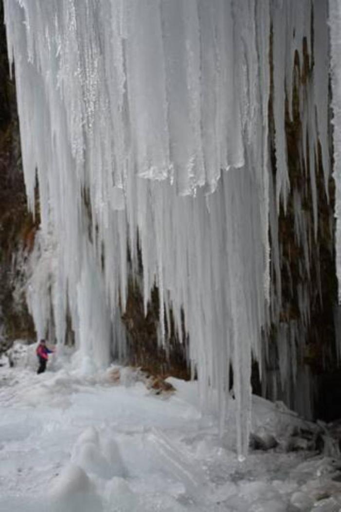 Wohnung Rheintal Im Alpenvorland Batschuns Bagian luar foto