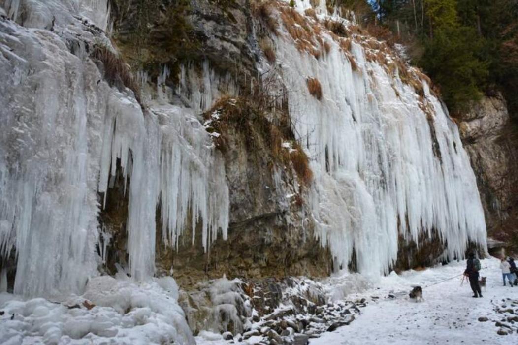 Wohnung Rheintal Im Alpenvorland Batschuns Bagian luar foto