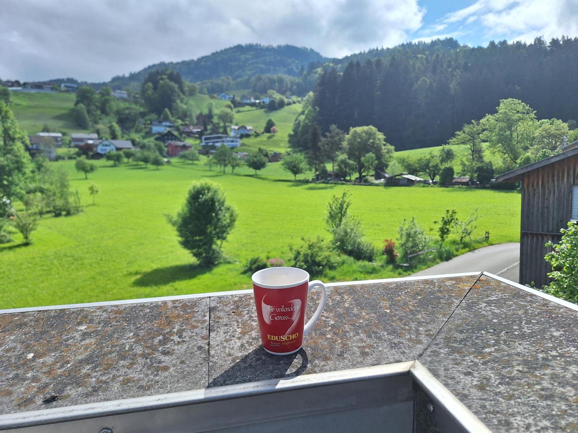 Wohnung Rheintal Im Alpenvorland Batschuns Bagian luar foto