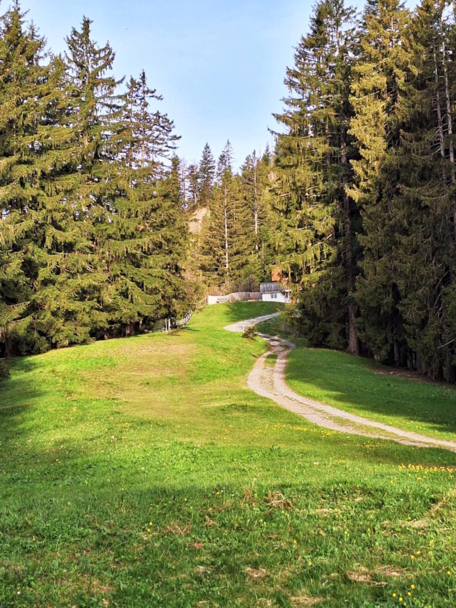 Wohnung Rheintal Im Alpenvorland Batschuns Bagian luar foto