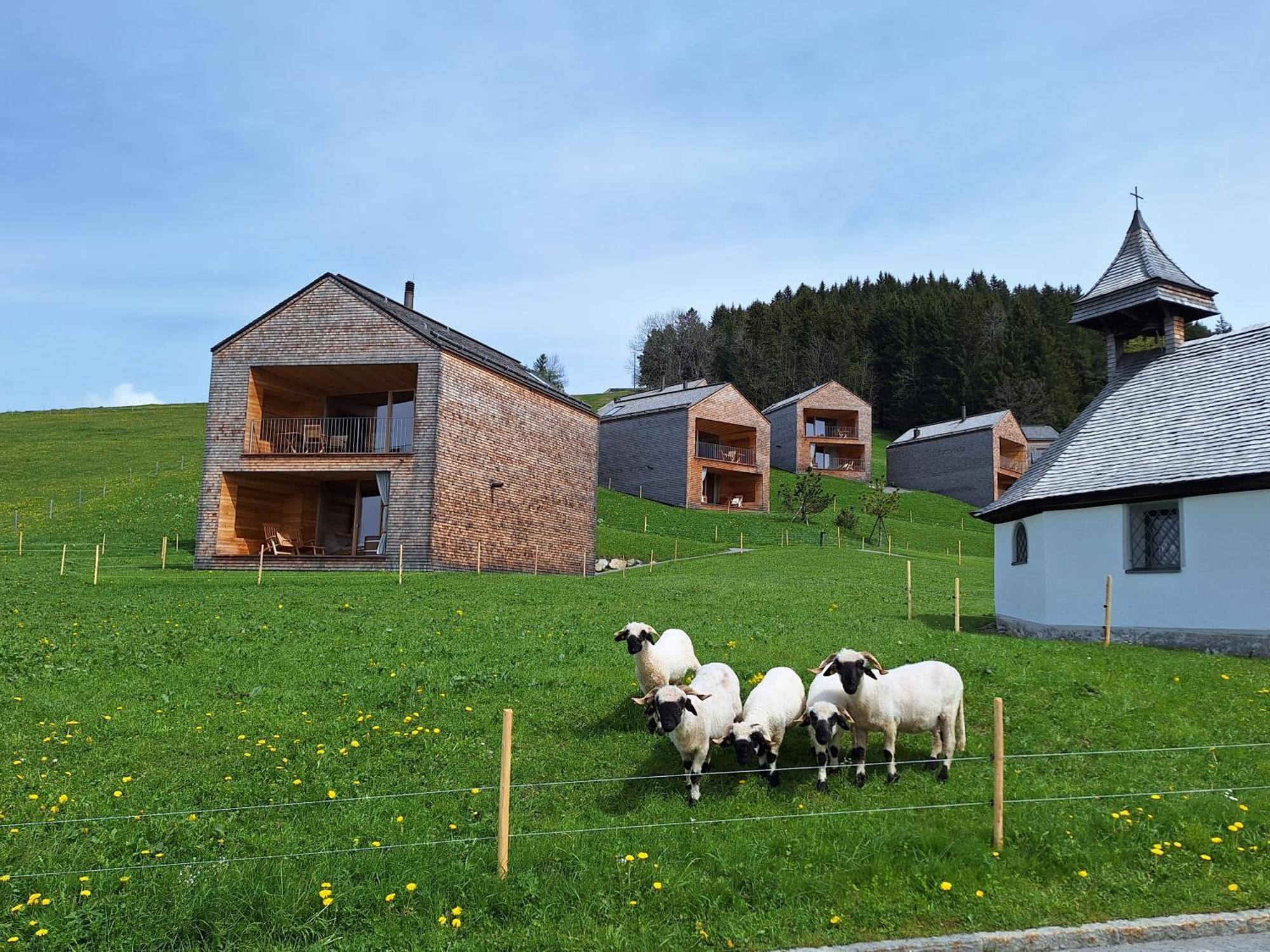 Wohnung Rheintal Im Alpenvorland Batschuns Bagian luar foto
