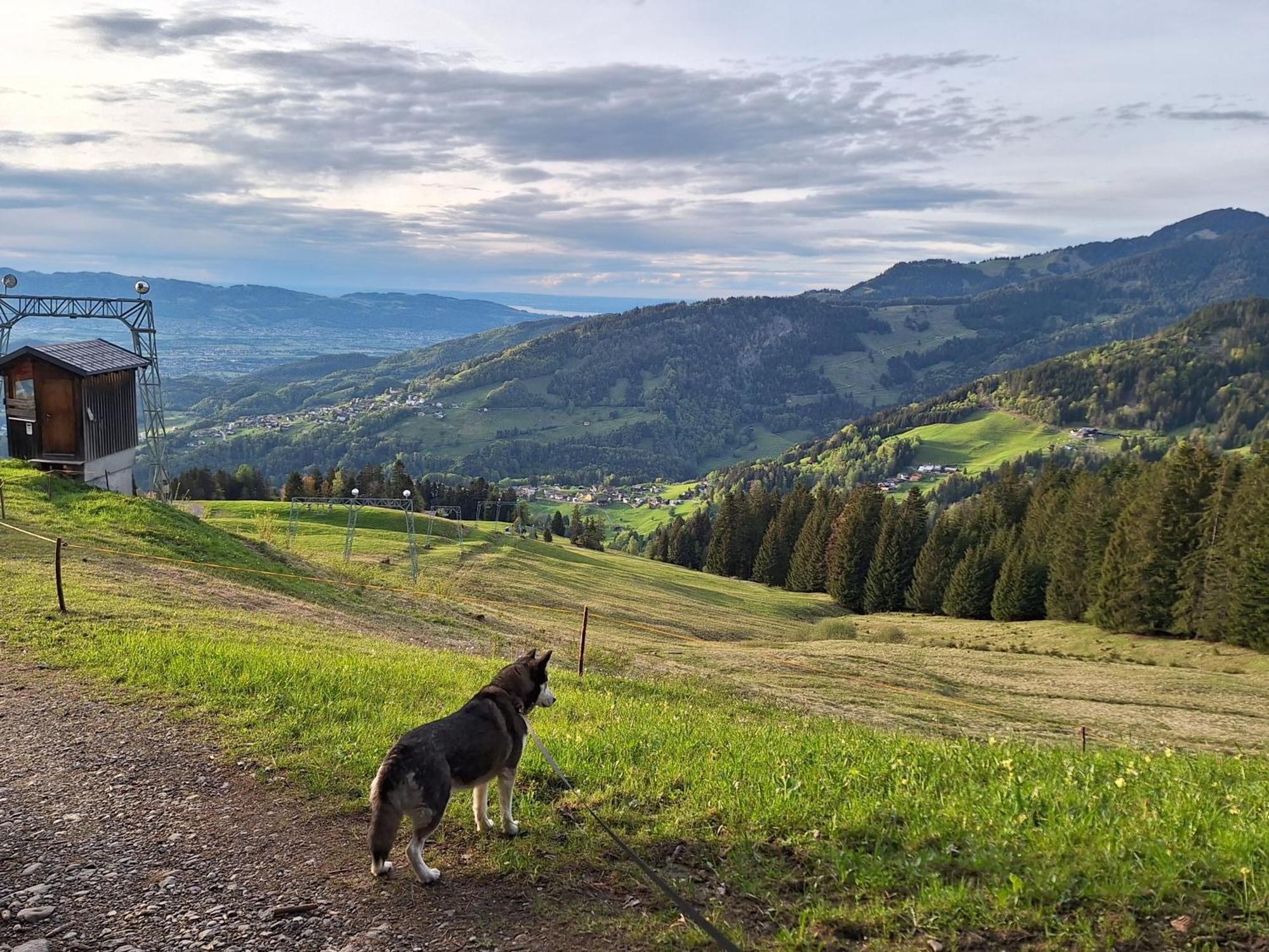 Wohnung Rheintal Im Alpenvorland Batschuns Bagian luar foto