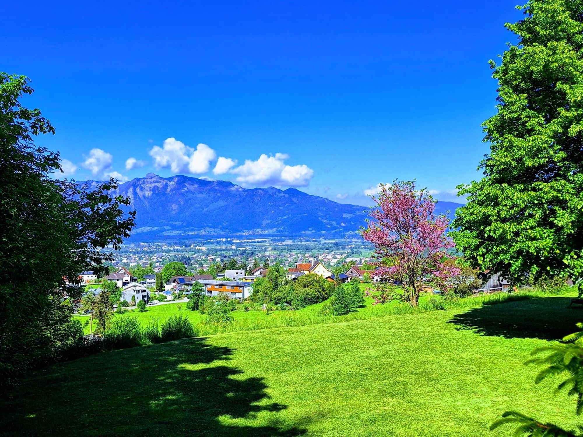 Wohnung Rheintal Im Alpenvorland Batschuns Bagian luar foto
